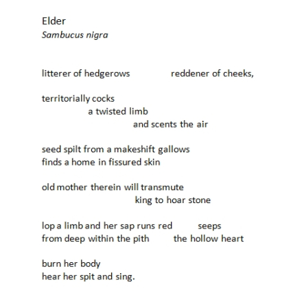 elder by john c nash